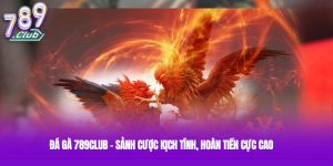 Đá Gà 789club - Sảnh Cược Kịch Tính, Hoàn Tiền Cực Cao
