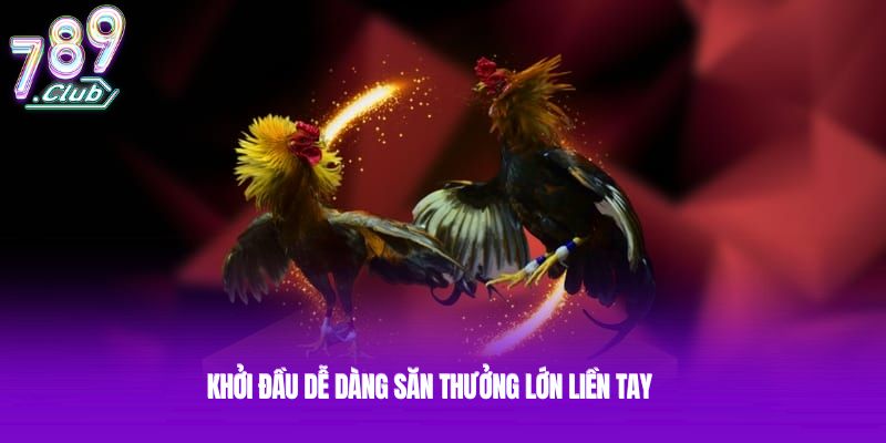 Khởi đầu dễ dàng săn thưởng lớn liền tay
