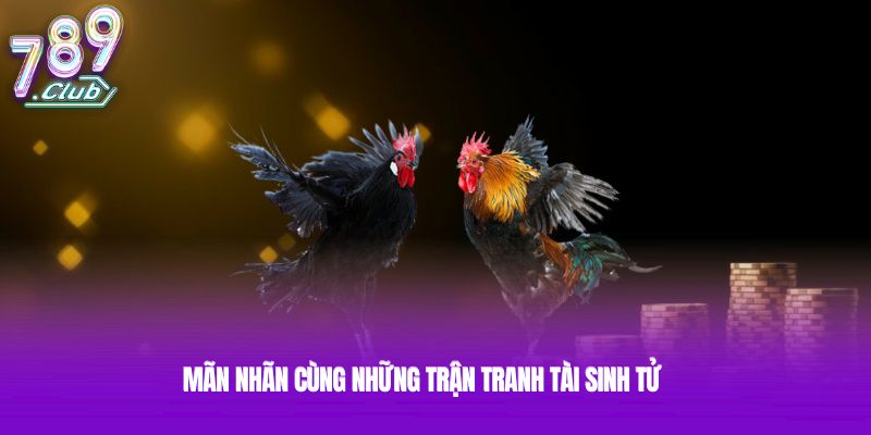 Mãn nhãn cùng những trận tranh tài sinh tử