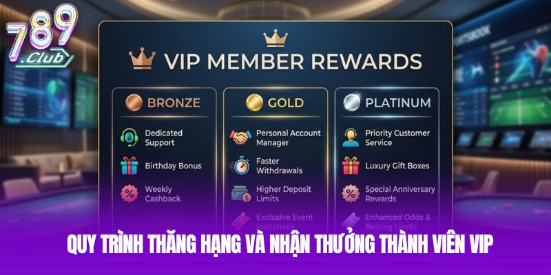 Quy trình thăng hạng và nhận thưởng thành viên VIP